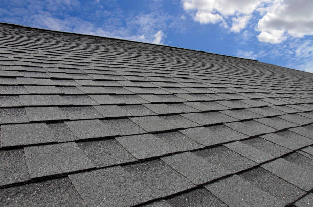 Best Skylight Installation and Repair  in Tabor City, NC